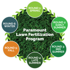 6-Step Lawn Fertilization Program