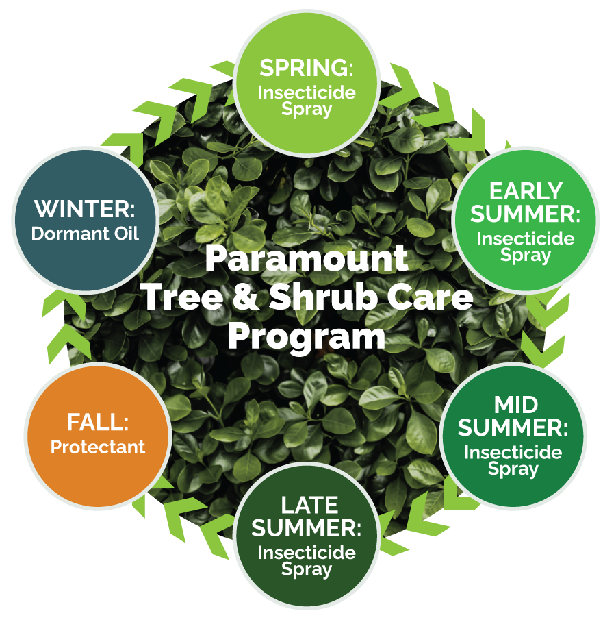 Tree and Shrub Care: Spray Program