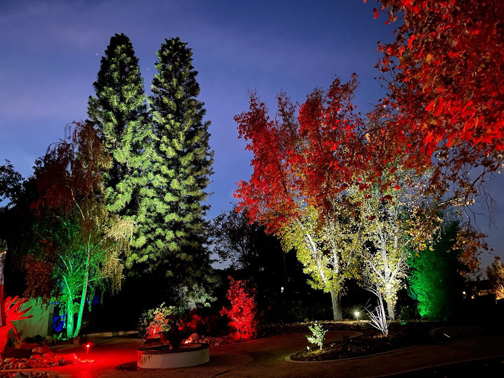 Christmas Landscape Lights: For the Easiest Season Yet