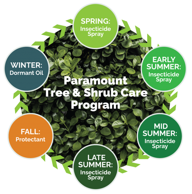 Tree and Shrub Fertilizer in the Winter? Paramount Landscaping