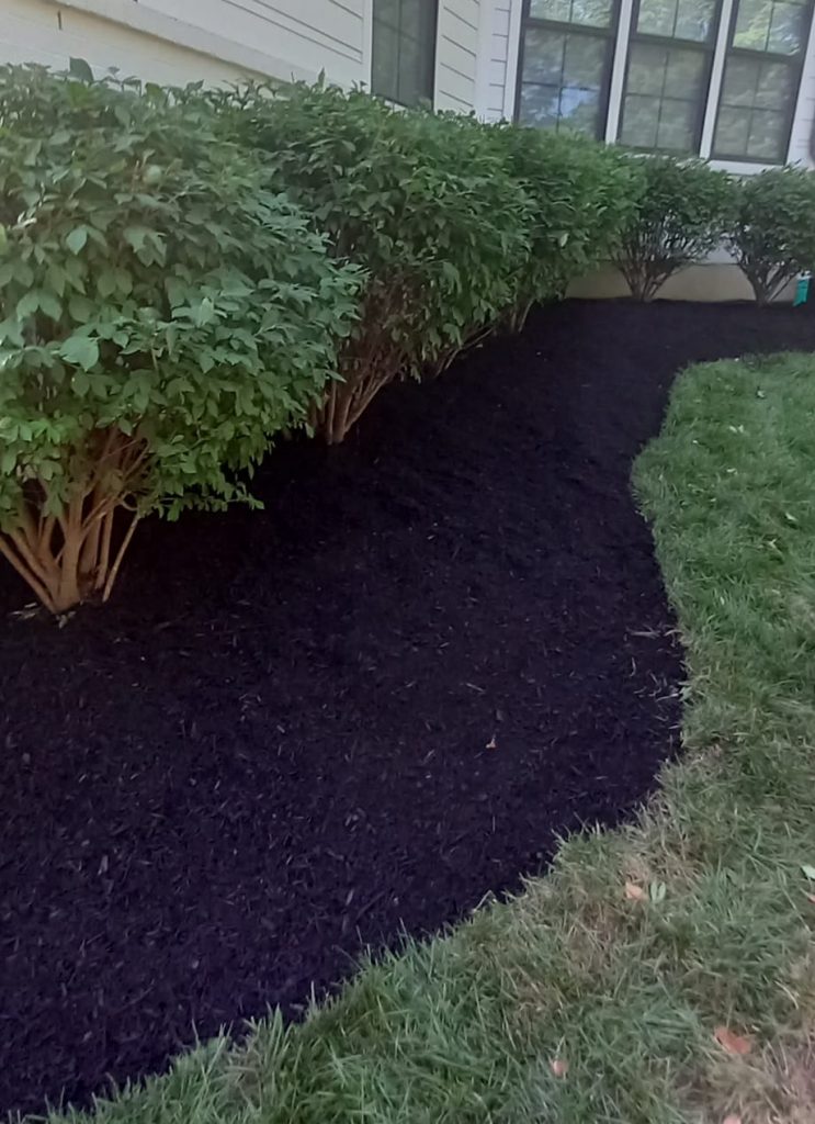 10 Reasons to Mulch Your Garden Beds Paramount Landscaping