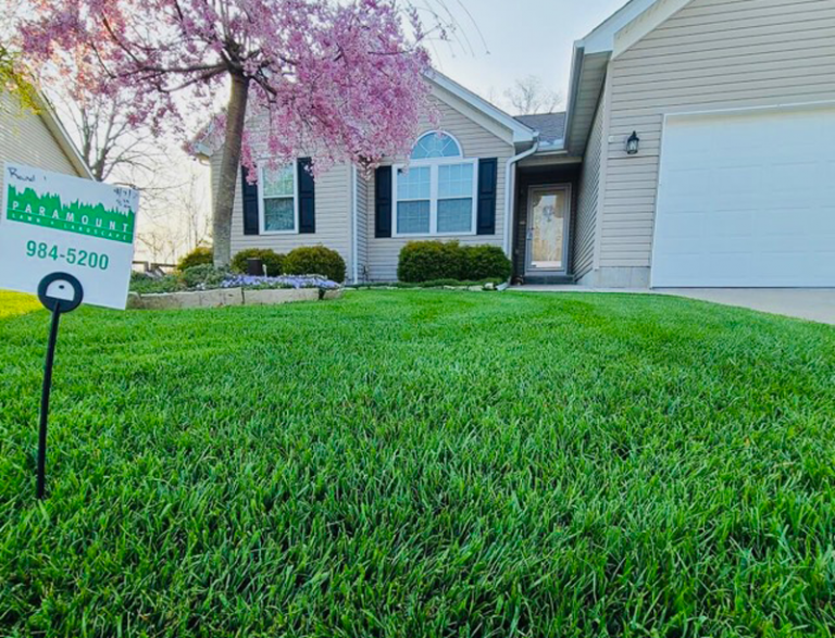 Why should you fertilize your lawn? Paramount Landscaping