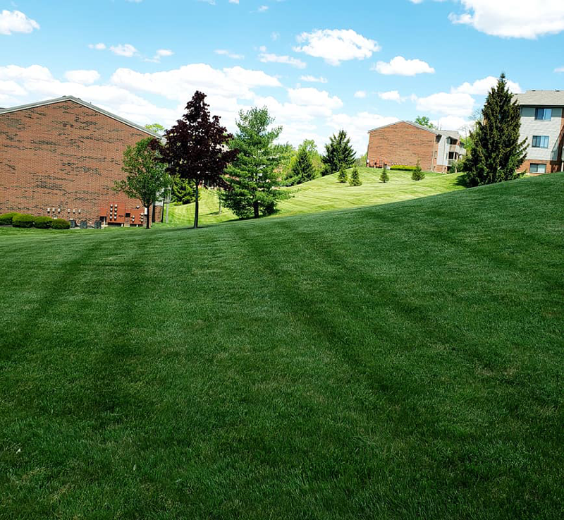 Searching for Lawn Fertilizer Services Near Me?