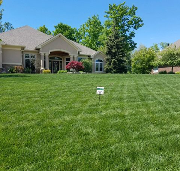Lawn Fertilizer Schedule for the Midwest's Greenest Grass