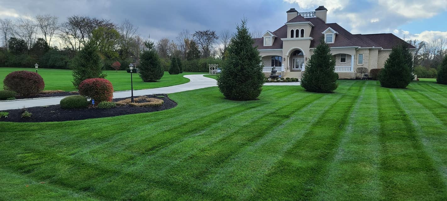 Aeration & Overseeding Lawn in Fall