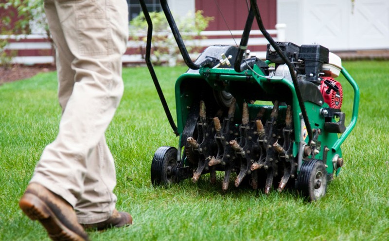 Aeration & Overseeding Lawn in Fall