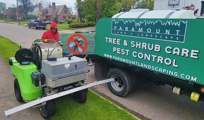 Perimeter Pest and Mosquito Control with Paramount Lawn + Landscape