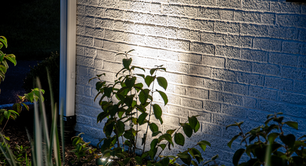 Front Yard Lighting Ideas: Highlight Texture