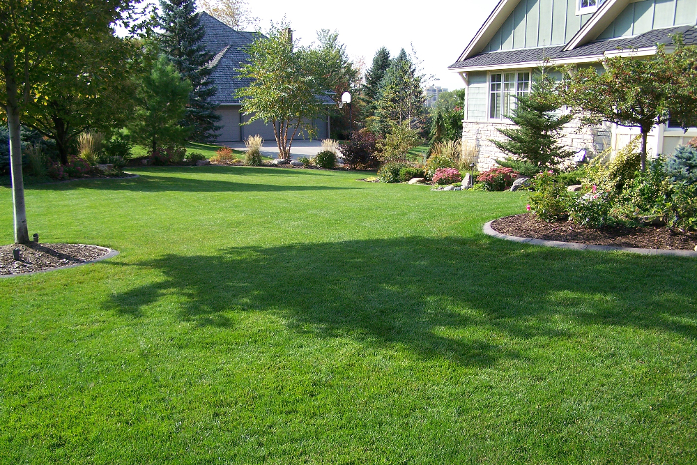 The Complete Guide to Summer Lawn Care in Cincinnati: Watering ...