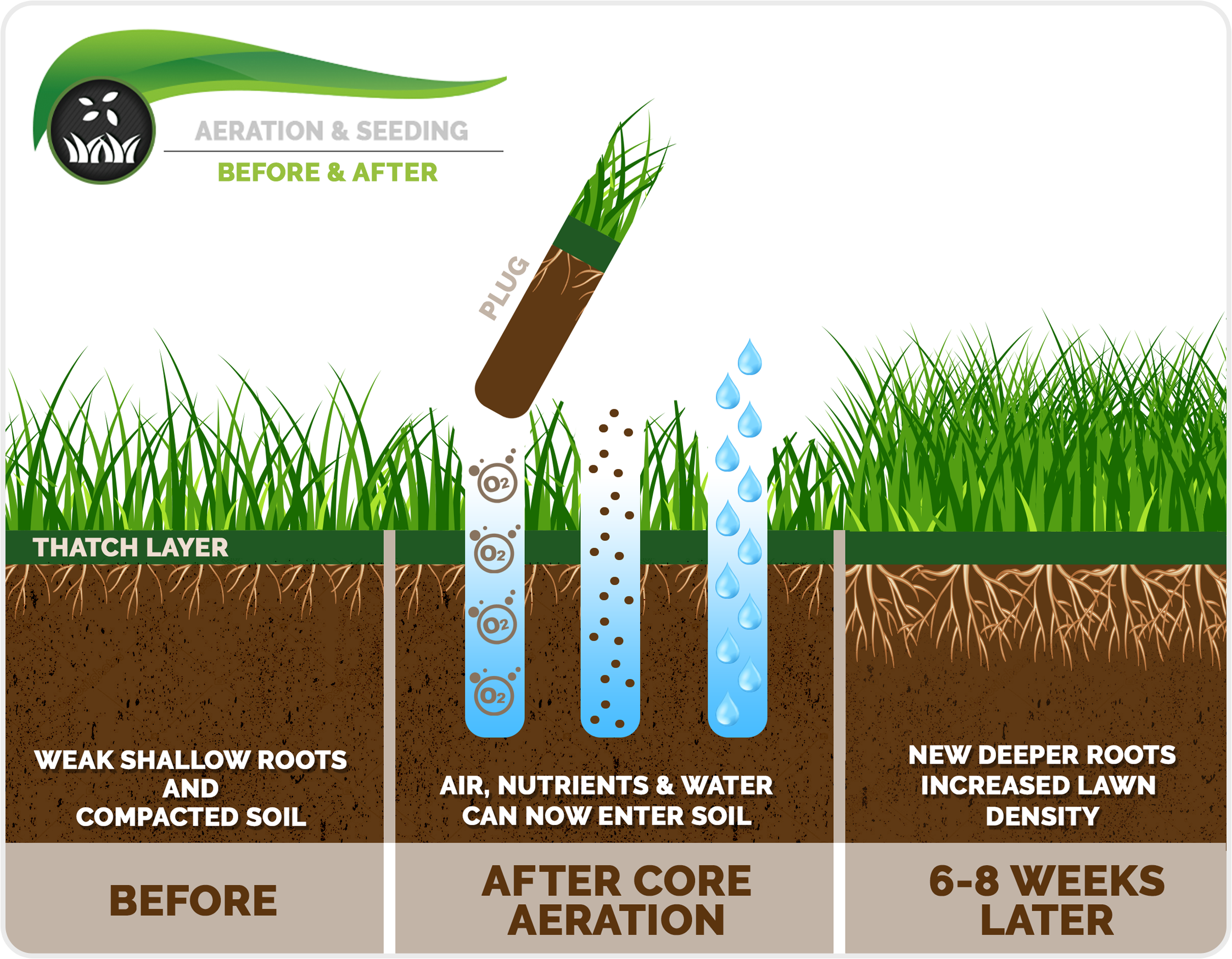 How To Aerate Lawn - PlantingTree