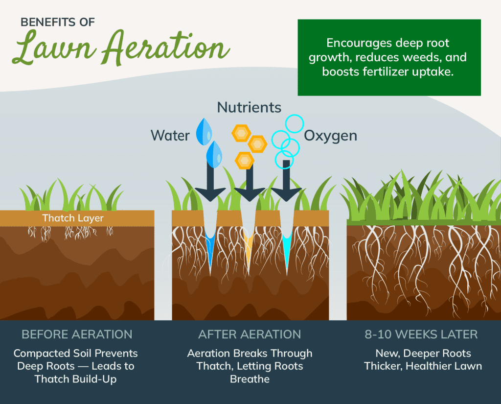 Fall Lawn Aeration & Overseeding Tips | Pittsburgh Guide