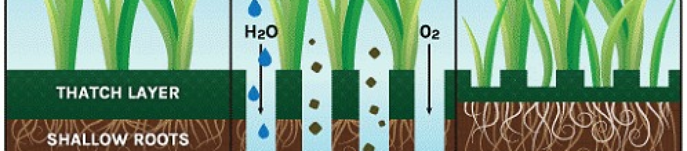 Why Get a Spring Aeration? Paramount Landscaping