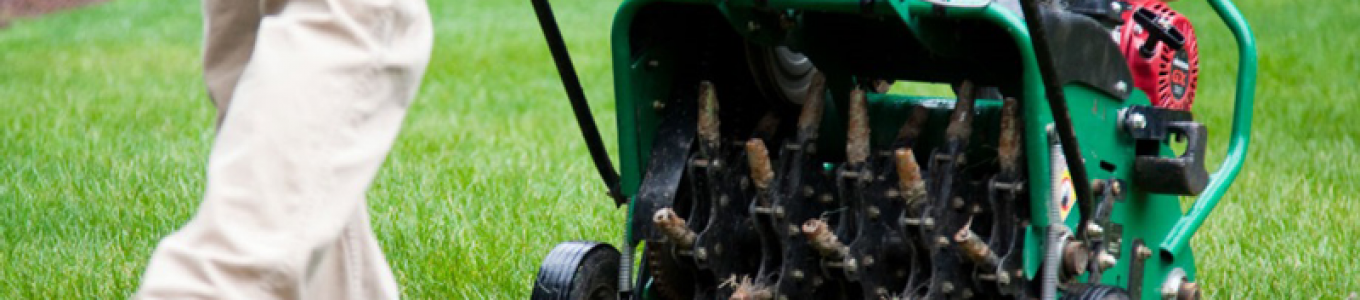 Lawn Dethatching and Aeration Service Near Me Explained
