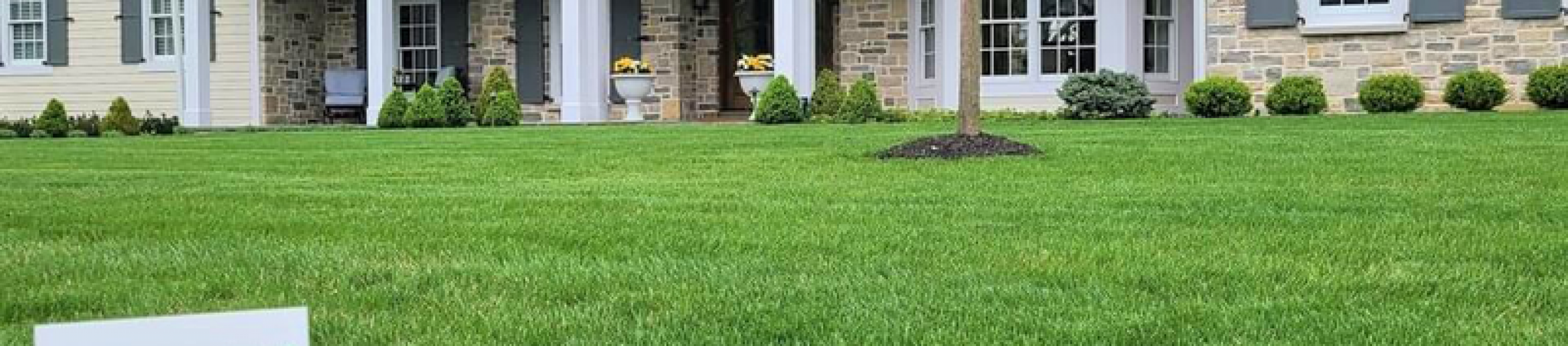 Crabgrass Preventer With Paramount, It’s Not Too Late Paramount