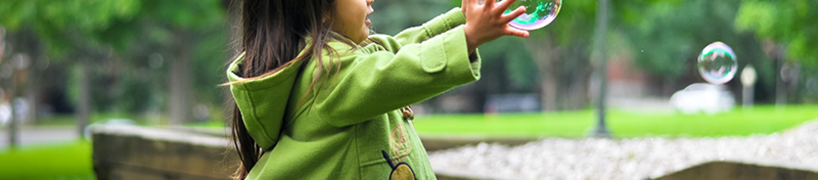 lawn-fertilization-schedule-the-time-is-now-paramount-landscaping