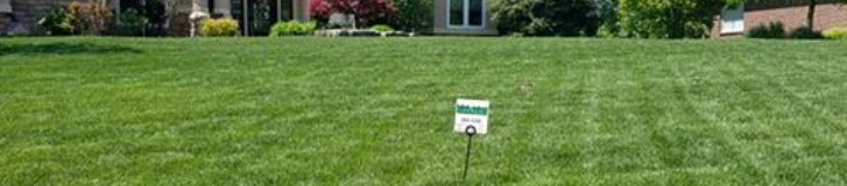 why-choose-us-for-your-lawn-care-paramount-landscaping