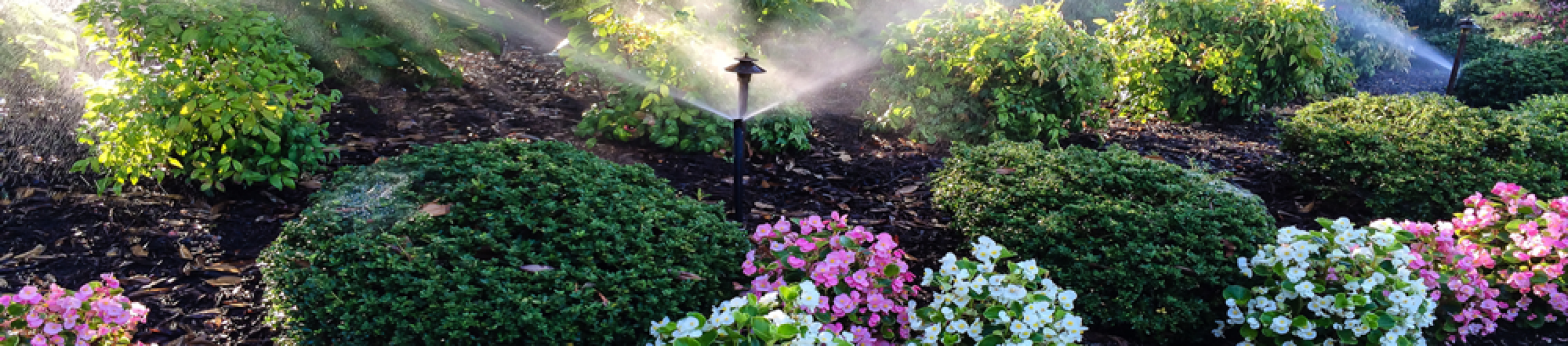 Sprinkler System Installation Cincinnati Paramount Landscaping